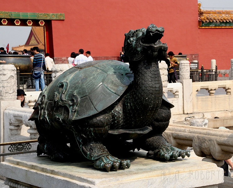 fc15.jpg - In chineese mythology this particular turtle was born from a dragon.  In Connecticut we call them snapping turtles.  They get this big... really.